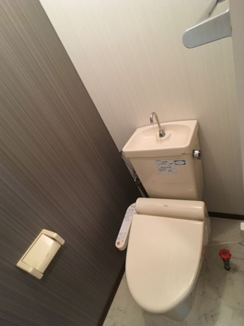 ライブリーパーク高橋 Aのトイレ写真