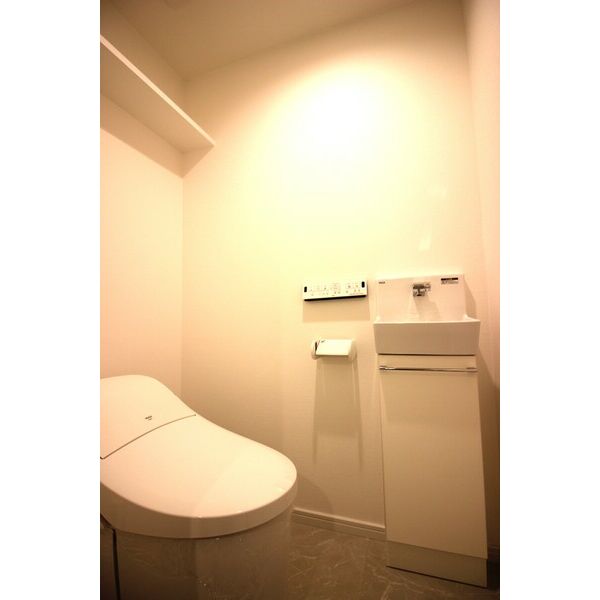 グレイスレジデンス八事のトイレ写真