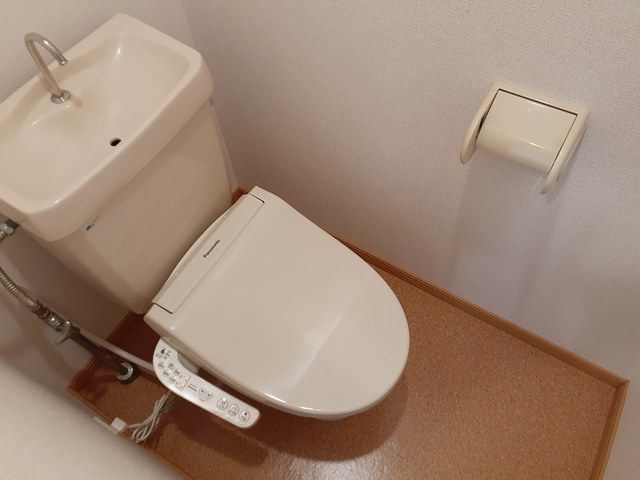ニューシティYANAKAのトイレ写真