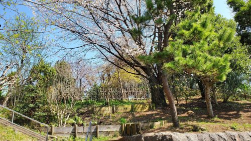 【ディアス雪谷の公園】