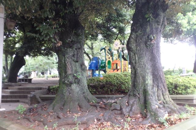 公園　調公園（公園）まで250m