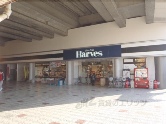 スーパー　ハーベス大久保店（スーパー）まで750m