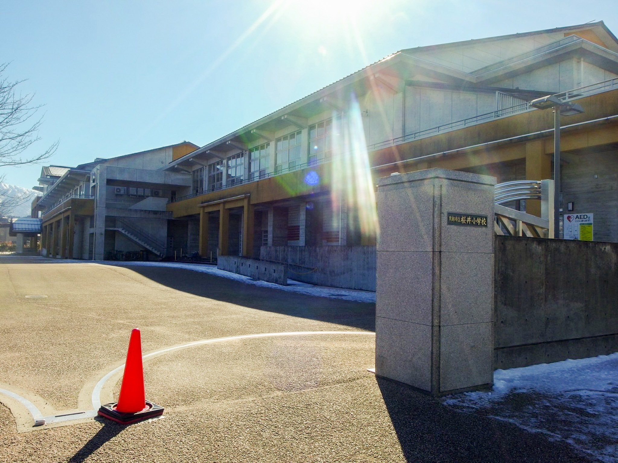 小学校　黒部市立桜井小学校（小学校）まで650m