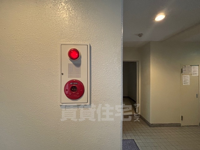 カーネルヒルのその他写真