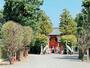 その他　箱崎八幡神社（その他）まで1898m