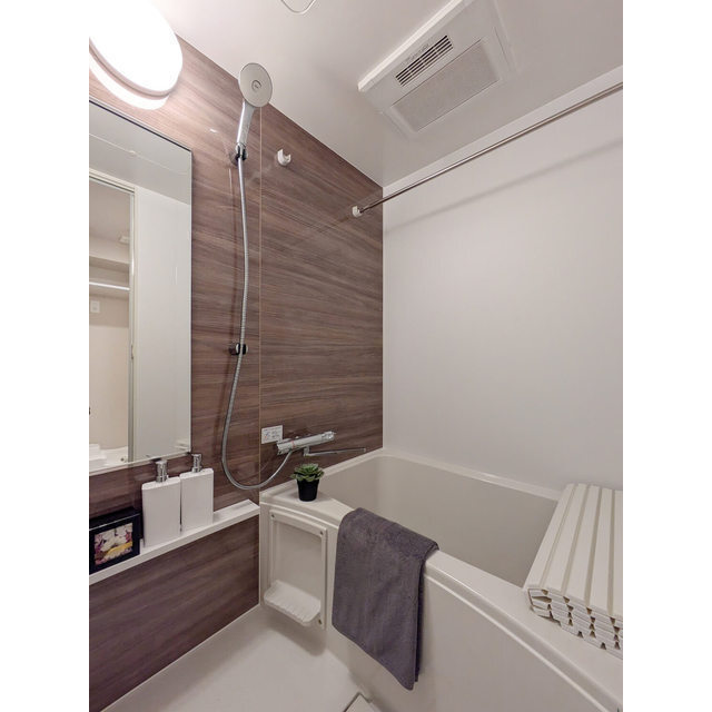 バス・シャワールーム　家具・家電の備え付けはありません