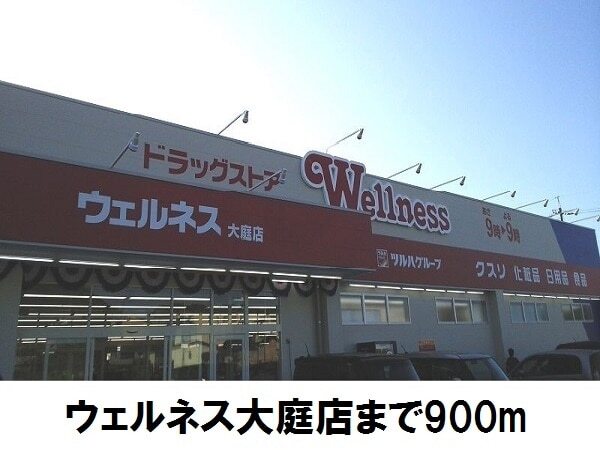 ドラックストア　ウェルネス大庭店（ドラッグストア）まで900m