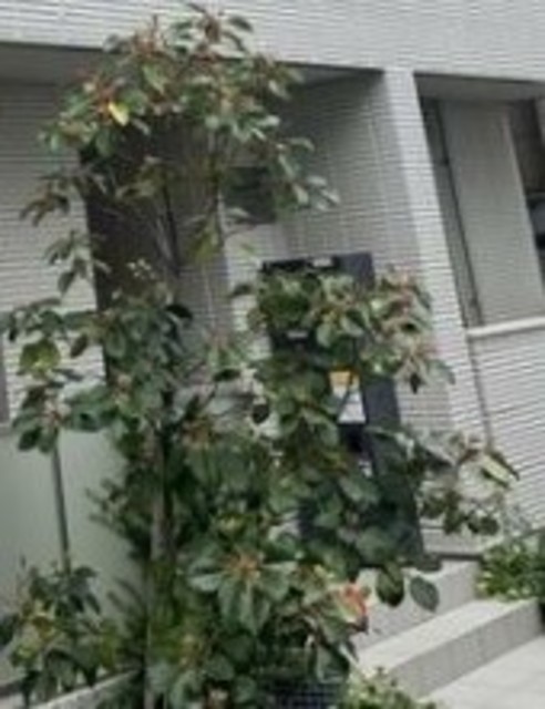 その他共有部分　共用設備