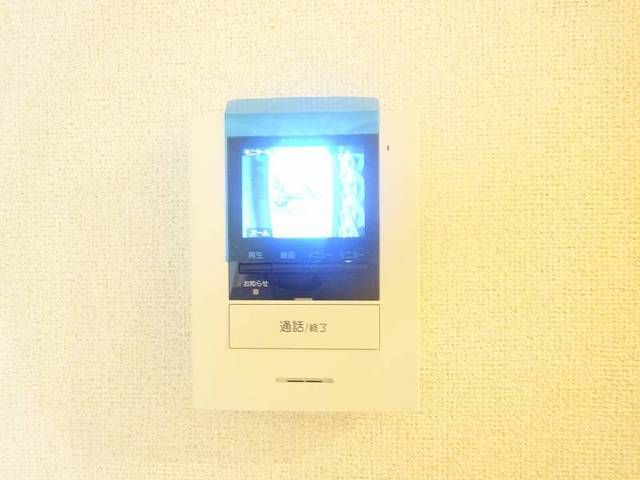 クローバーのその他写真