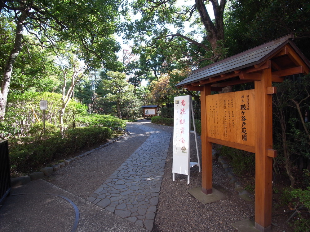 公園　殿ケ谷戸公園（公園）まで666m