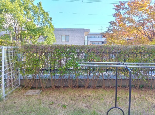 庭　たまにはお庭で休日を過ごしてみるのもよいかもしれません