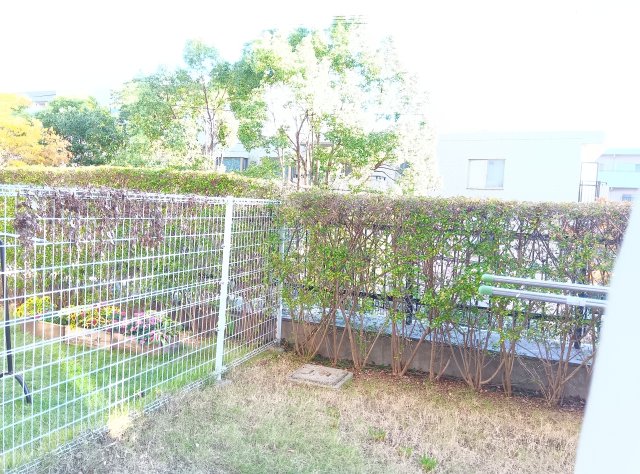 眺望　お部屋からの景色です