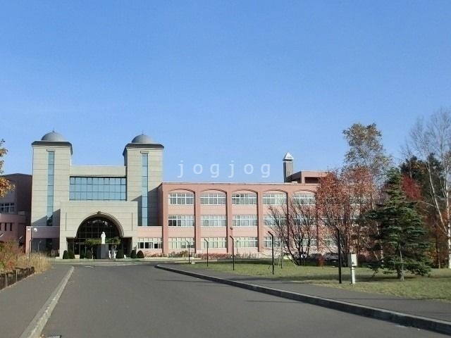 【札幌市北区屯田七条のマンションの大学・短大】