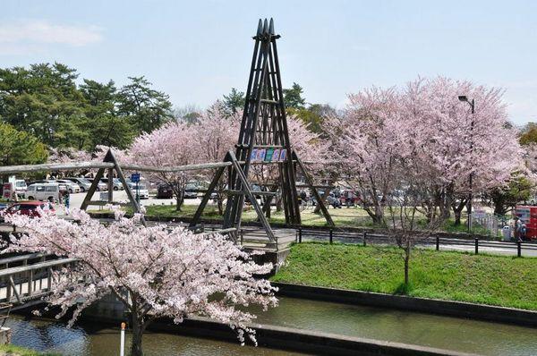 その他　酒津公園（その他）まで917m