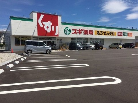 ドラックストア　スギ薬局 下冨居店（ドラッグストア）まで1361m
