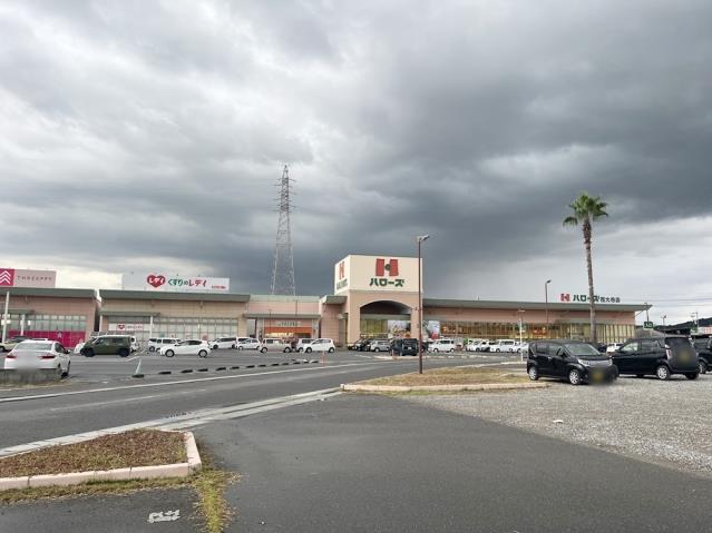 スーパー　ハローズ西大寺店（スーパー）まで1132m