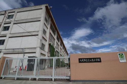 小学校　八尾市立上之島小学校（小学校）まで263m