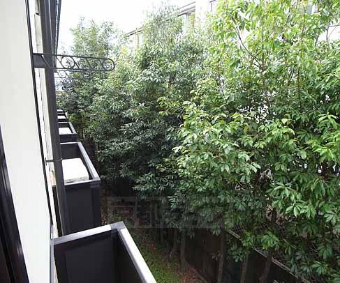 眺望　緑があります