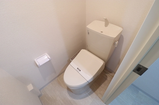 松丸第二コーポラスのトイレ写真