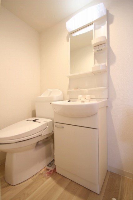 トイレ　同物件、別号室の写真