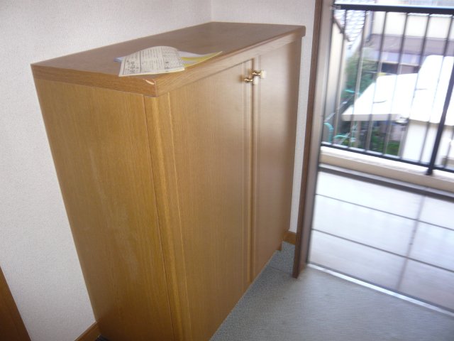 玄関　同型タイプの写真です。