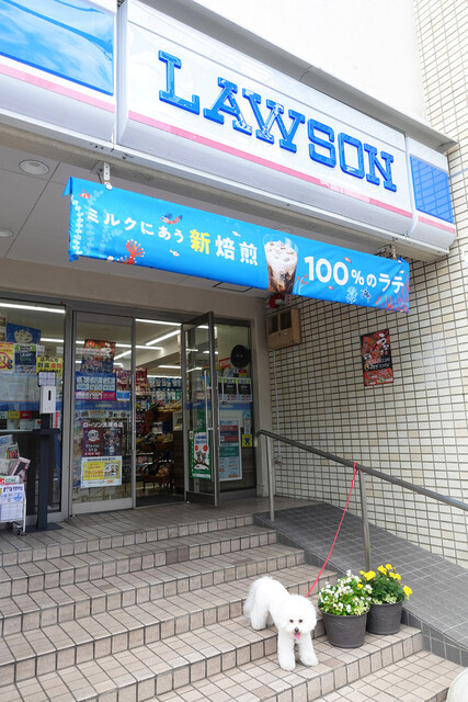 コンビニ　ローソン天現寺店（コンビニ）まで120m