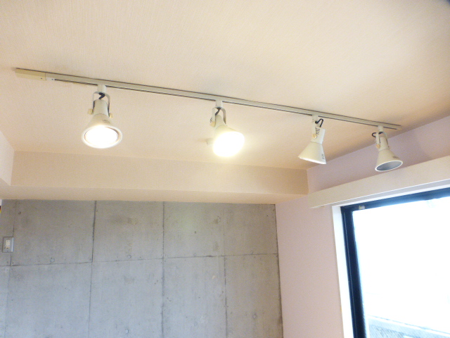 その他　室内、ダクトレール　照明付