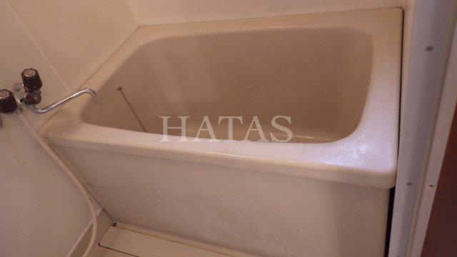 バス・シャワールーム　同物件別部屋です