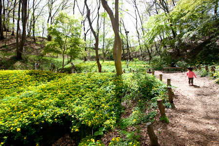 公園　片倉自然公園（公園）まで374m