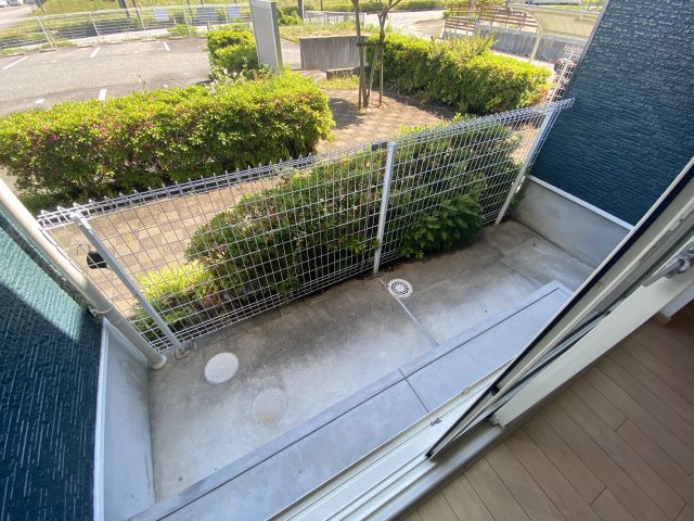 庭