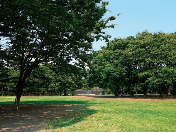 公園　中央公園（公園）まで250m