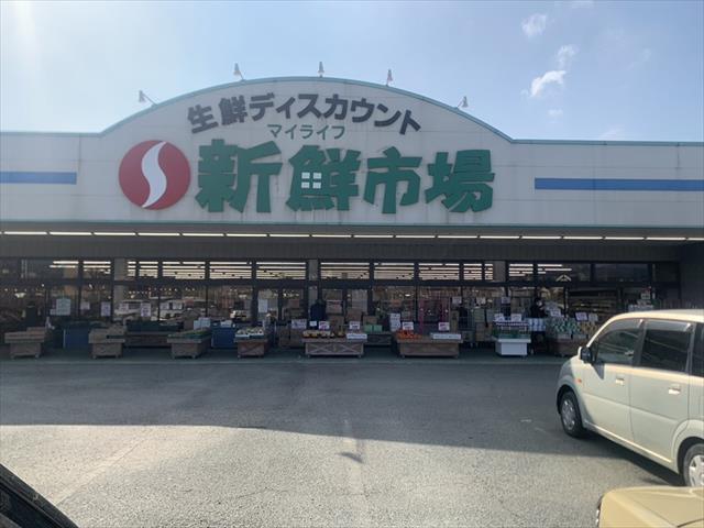スーパー　新鮮市場菊池店（スーパー）まで499m