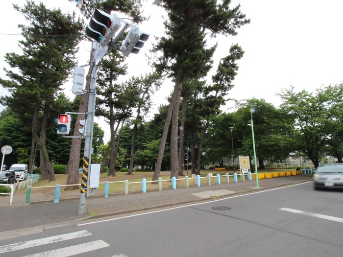 公園　相模台公園（公園）まで559m