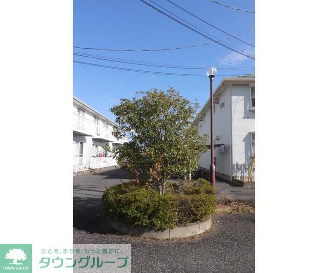 庭