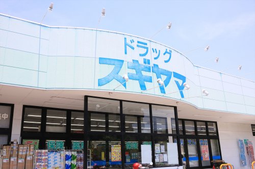 ドラックストア　ドラッグスギヤマ奥条店（ドラッグストア）まで1720m