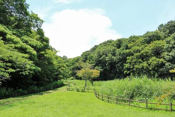 公園　北八朔公園（公園）まで700m