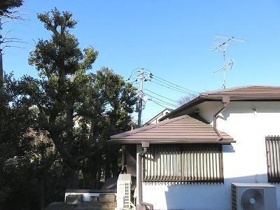サークルハウス田園調布弐番館のその他写真