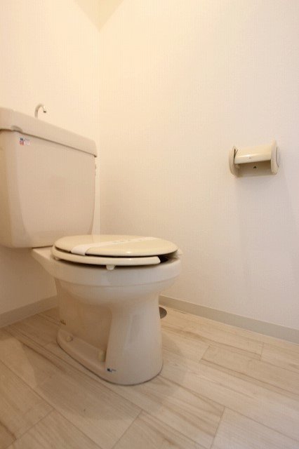 トイレ　同物件、別号室のものです。
