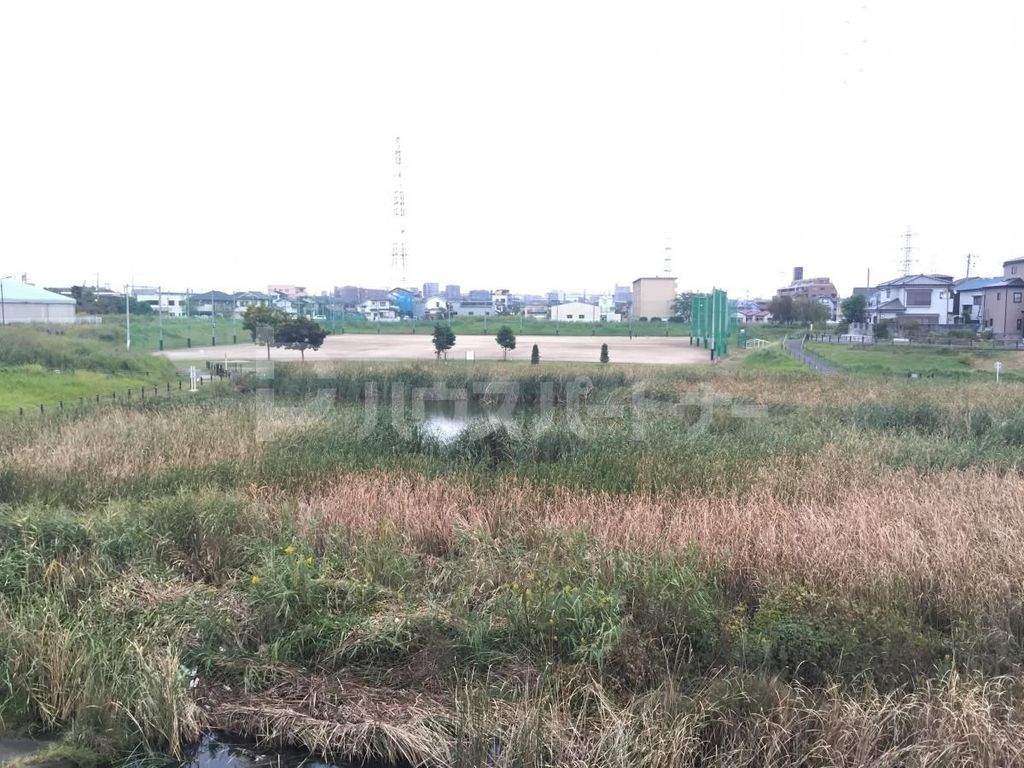 公園　柳島治水緑地（公園）まで1150m