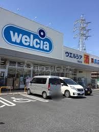 ドラックストア　ウエルシア南柏店（ドラッグストア）まで340m
