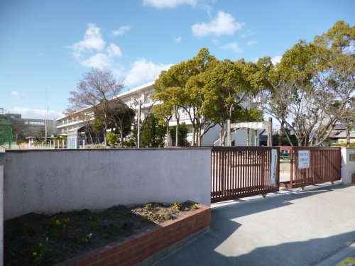 小学校　大治南小学校（小学校）まで1543m