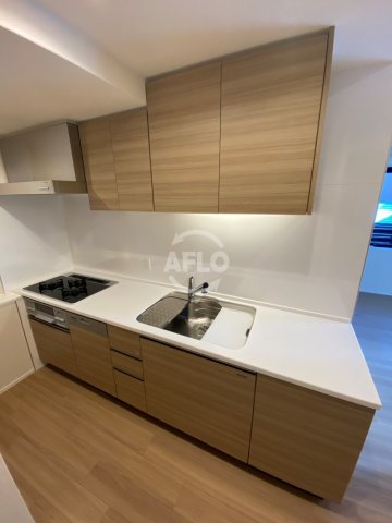 キッチン　ブランズタワー・ウェリス心斎橋NORTH　グリル・食器洗浄機