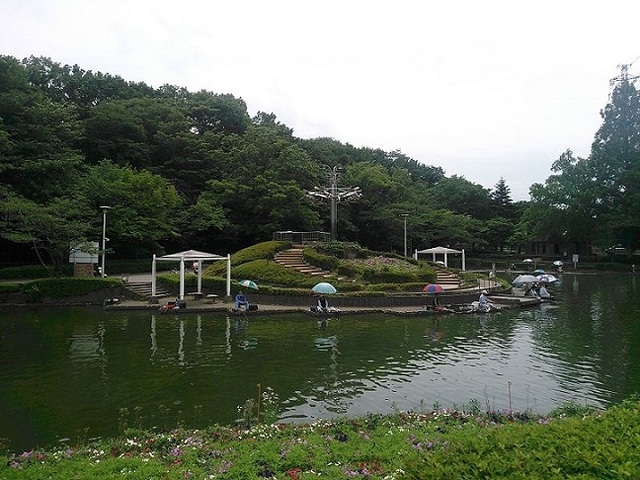 公園　さぎ山記念公園（公園）まで644m