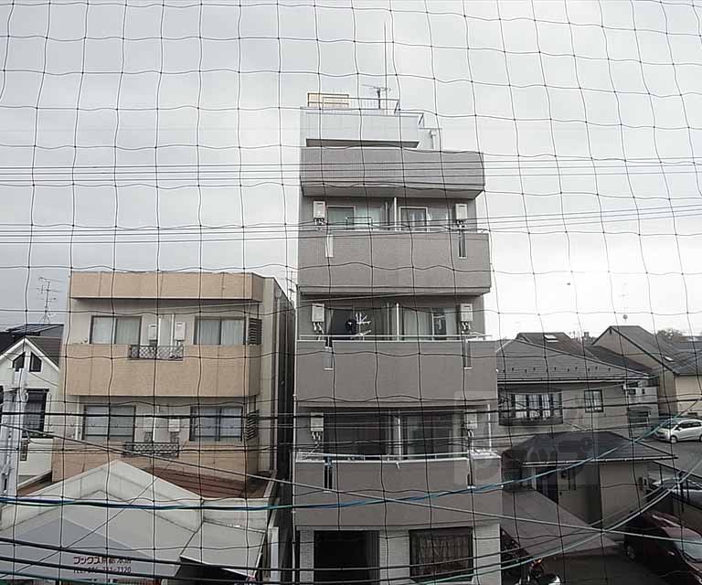 眺望　室外風景