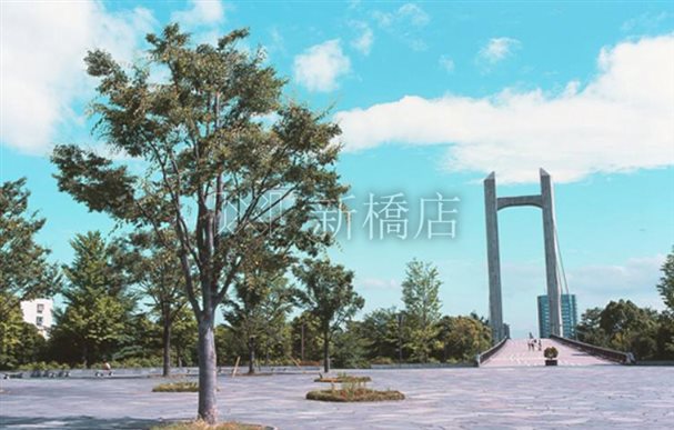 公園　木場公園（公園）まで519m