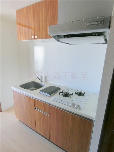 キッチン　2口ガスシステムキッチン