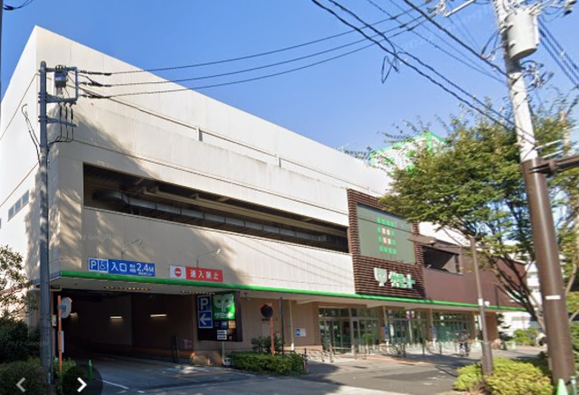 その他　サミットストア野沢龍雲寺店（その他）まで509m