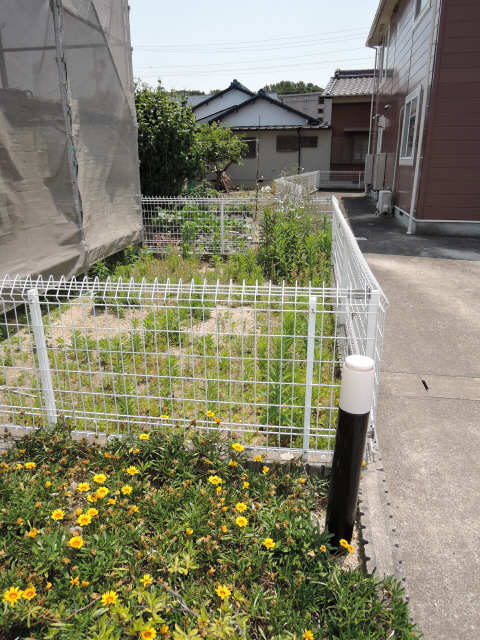 庭