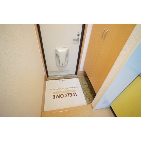 玄関　※同仕様、別の部屋の写真です