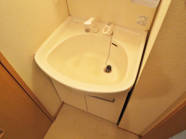 洗面設備　嬉しいシャンプードレッサー！